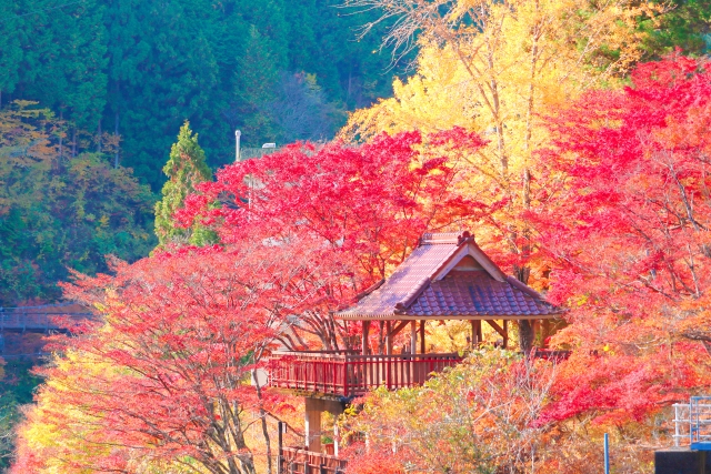 Ooidaira Park in Inabu Town, Toyota City