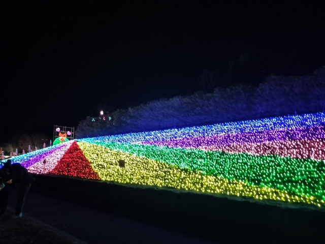 Oto Sakura Kaido Illumination