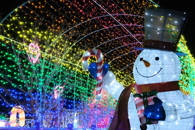 Oto Sakura Kaido Illumination