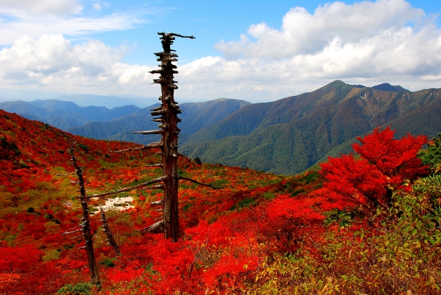 那須岳茶臼岳