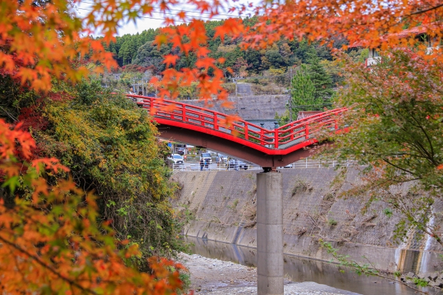 Yoro Ravine