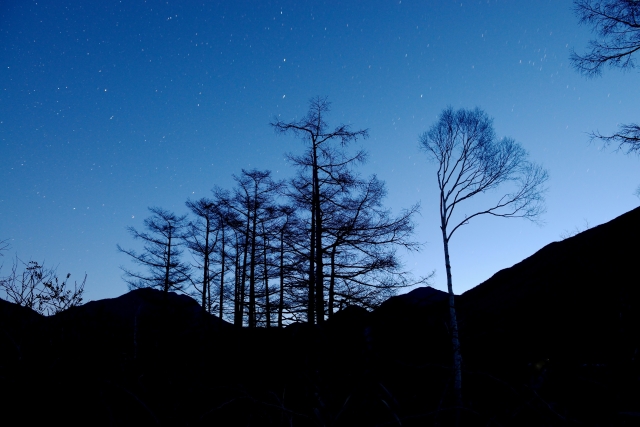 Senjogahara_starry sky